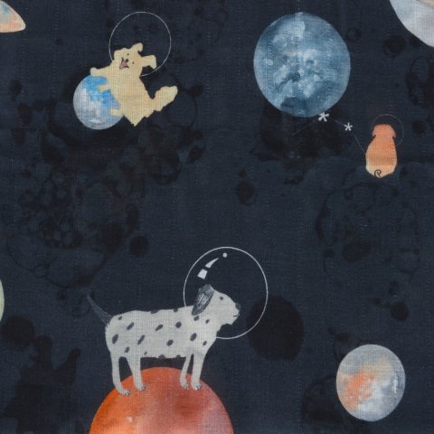 Galaxy Dog Müslin Çok Amaçlı Örtü Siyah - 90x90