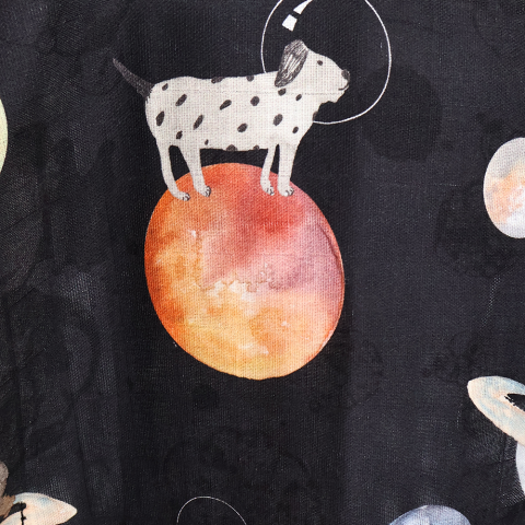 Galaxy Dog Muslin Çocuk Panco