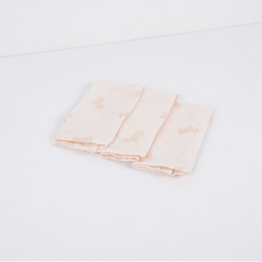 Terri Pup Müslin Ağız Bezi 30x30*3