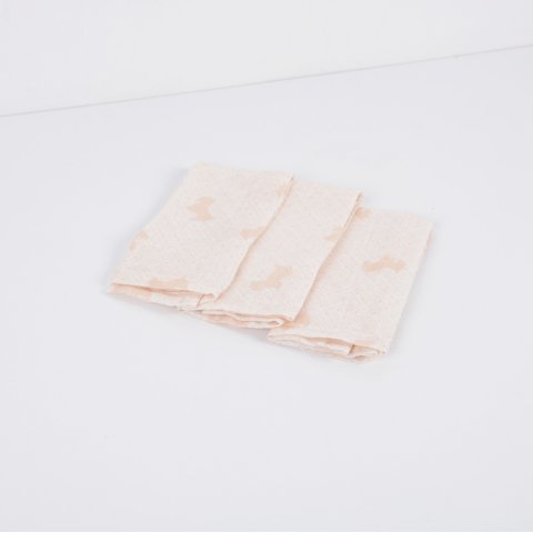 Terri Pup Müslin Ağız Bezi 30x30*3